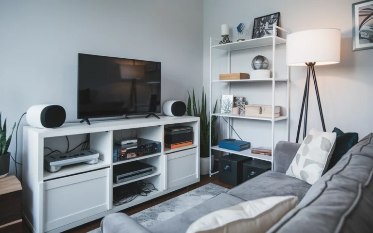 Entertainment Corner Organization Ideas For Homes