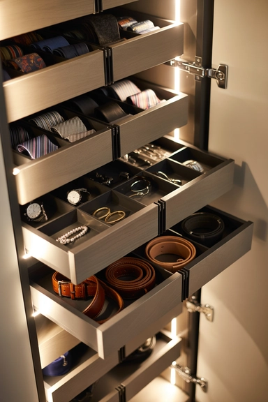 Incorporate Pull-Out Accessories Trays