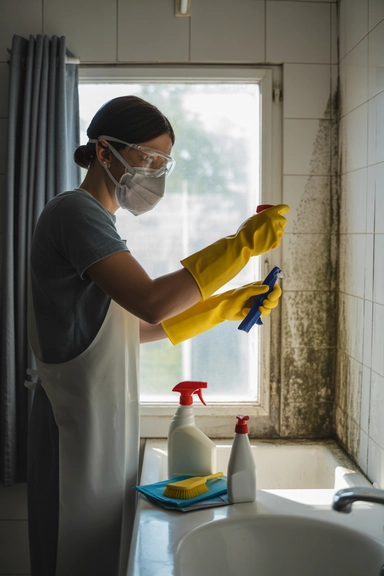 15 Mold Cleaning Hacks to Remove It for Good 2 Wear Protection Before Touching Mold