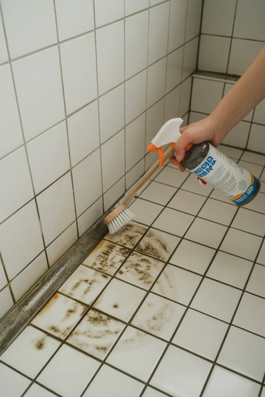 Shower Tile Cleaning Tips That Prevent Mold Growth