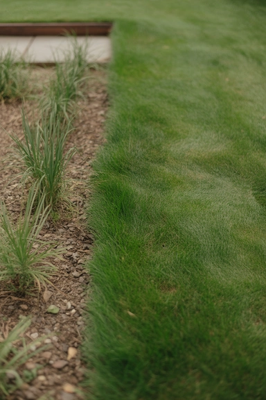 Edge Every Lawn and Bed Line