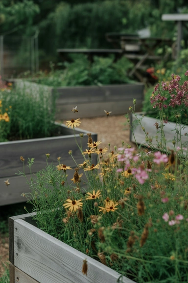 Plant a Pollinator Garden in One Raised Bed