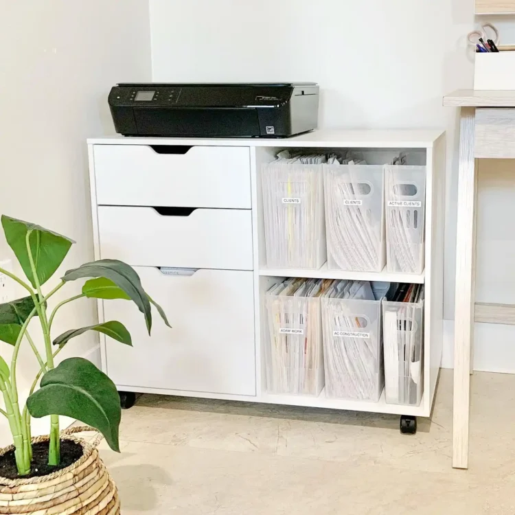 The File Cabinet As Desk Divider